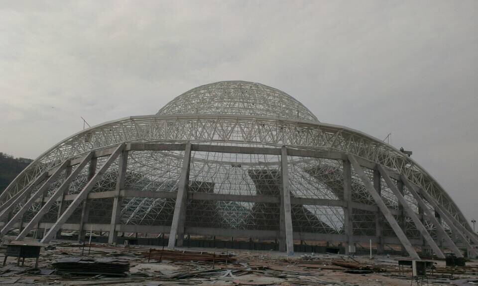 兴平体育场馆网架工程